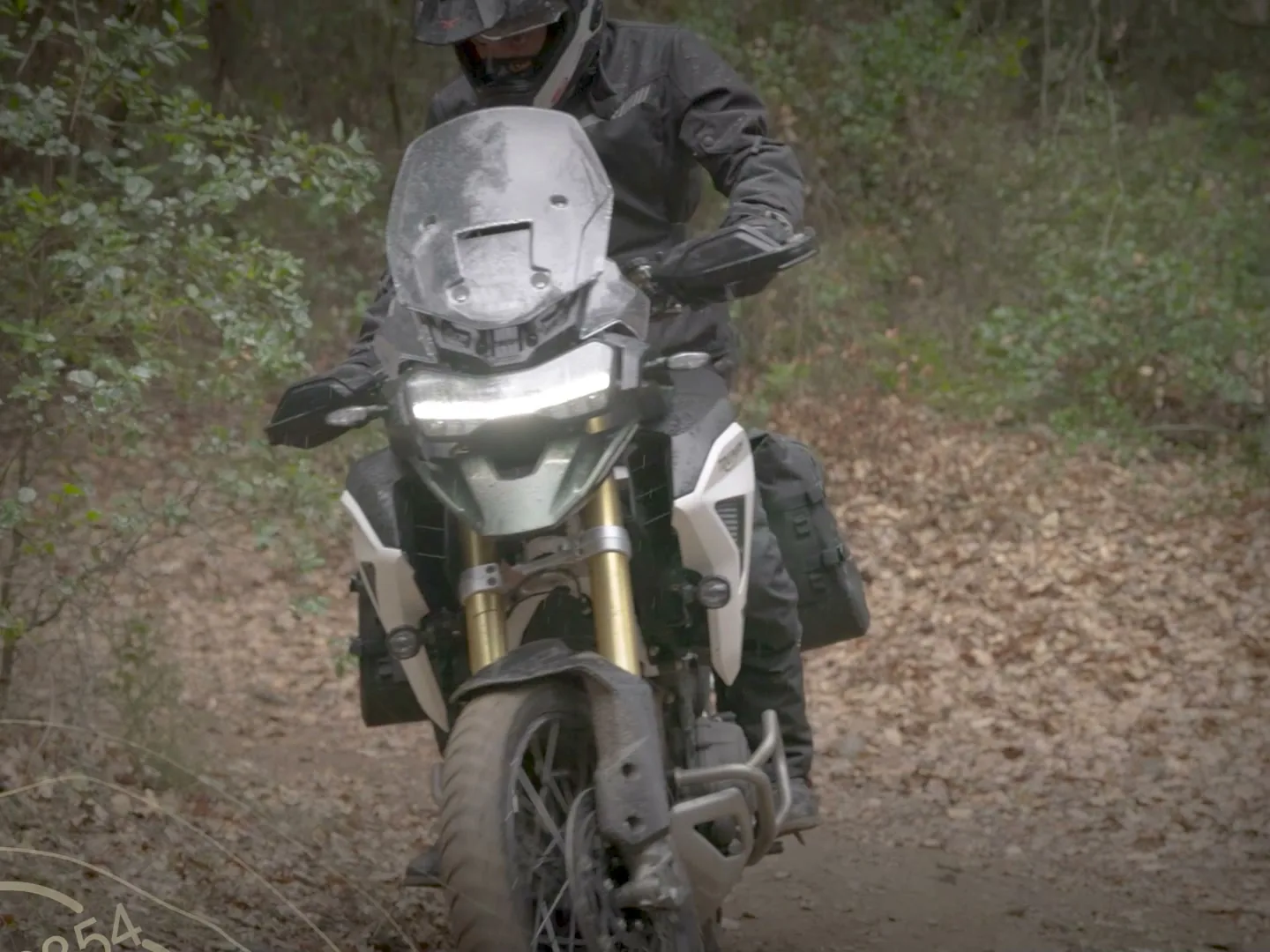TR50を装着したアドベンチャーバイクの後ろ姿